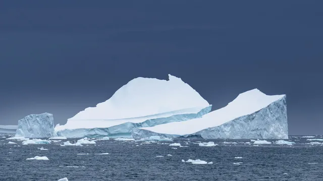 Antártica Ocidental Sofre Perda Alarmante de Gelo Marinho: Implicações para a Vi