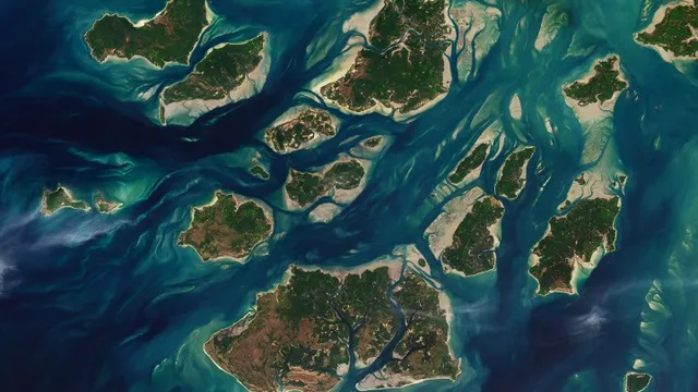 A Riqueza Biodiversa da Arquipélago Bijagós em Guinea-Bissau