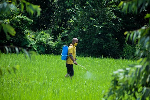 Risco de câncer aumenta em 150% em ambientes com altos níveis de pesticidas
