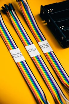 Raspberry Pi: Celebrando Projetos de Makers que Vão Lá