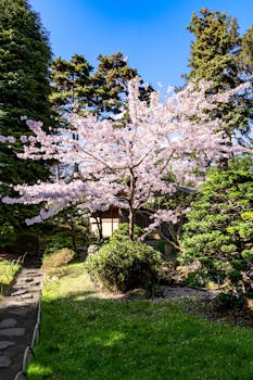 Crie uma Lâmpada Japonesa Inspirada na Sakura