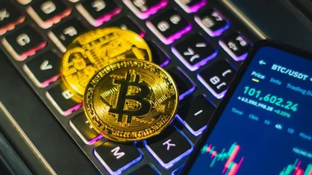 Perda de Acesso ao Carteira Cripto: Não Procure o Cachorro com Ossos