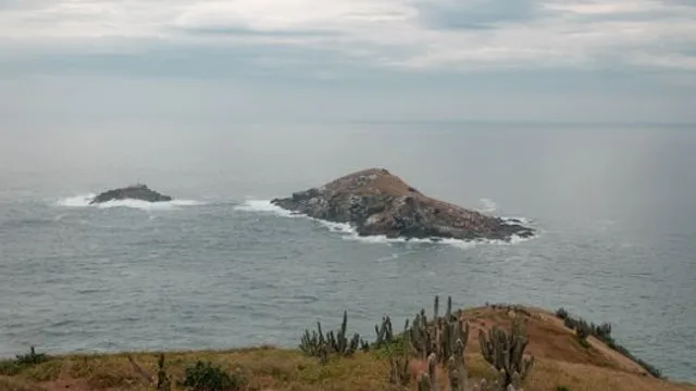 Pólo Céu Profundo: A Crust de Ferromangânia Revela uma Chuva Contínua de Plutôn