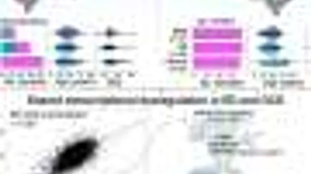 Eating Disorders e Transtorno Obsessivo-Compulsivo compartilham genes no cérebro