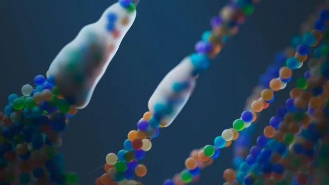 Cérebro em Formação: Descoberta Revela que Neurônios Precisam Quebrar DNA para C