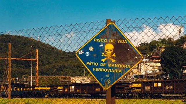 Risco Definitivo à Resilência: A Adoção Desorganizada