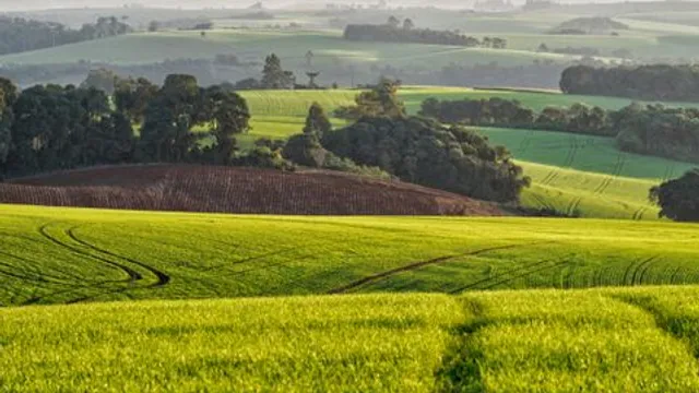 Setor Agrícola Brasileiro Enfrenta Desafios Globais